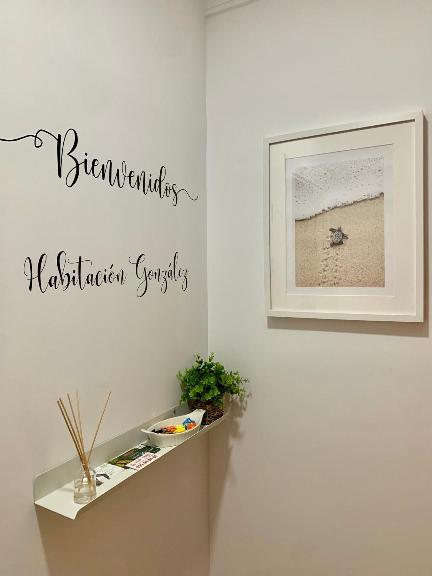 Habitacion Gonzalez マラガ エクステリア 写真